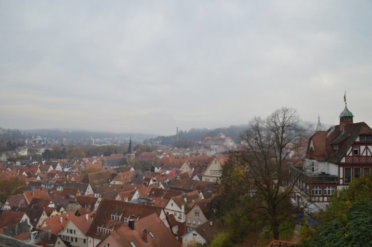 View from the Tübingen Castle