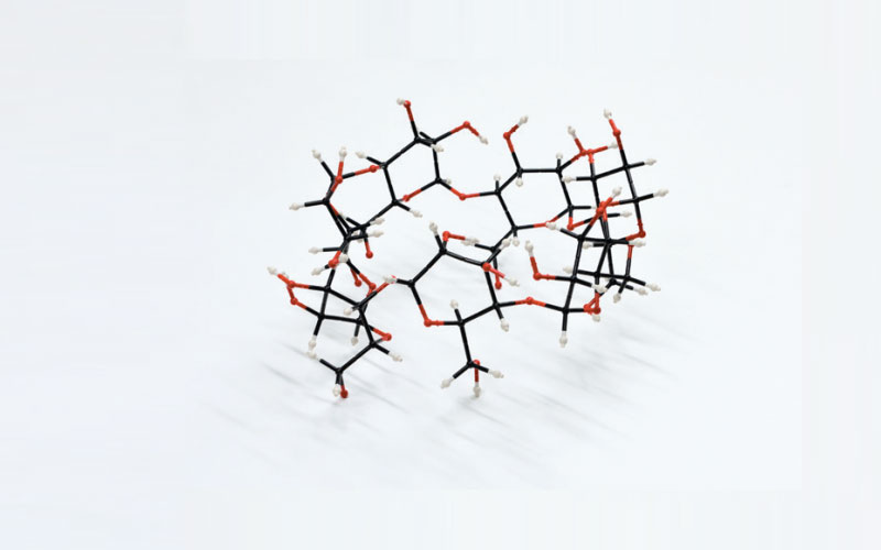 A molecular model of cyclodextrin